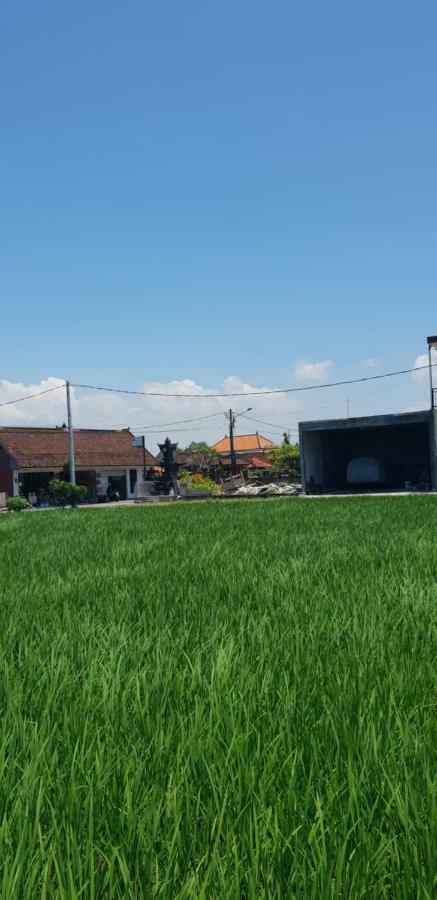 Sun Homestay Canggu Exterior foto